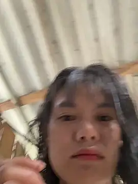 PhanHaa online show from December 18, 2025, 12:38 am