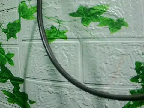 Snapshot of daros453 chatting on November 3, 2025, 2:13 am daros453 online show from November 3, 2025, 2:13 am