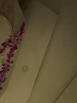 HaltBrand online show from March 1, 2026, 9:11 am