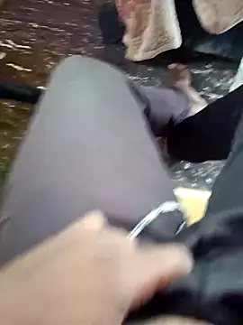 dolphiinn online show from November 27, 2025, 4:36 am