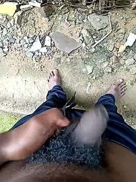 dolphiinn online show from December 17, 2025, 4:51 am