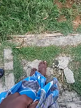 dolphiinn online show from January 12, 2026, 1:33 am