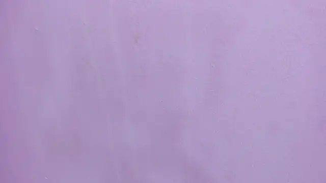 Snapshot of scarlett646 chatting on February 28, 2026, 3:07 am scarlett646 online show from February 28, 2026, 3:07 am