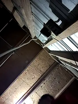 bigb499 online show from November 18, 2025, 4:50 am