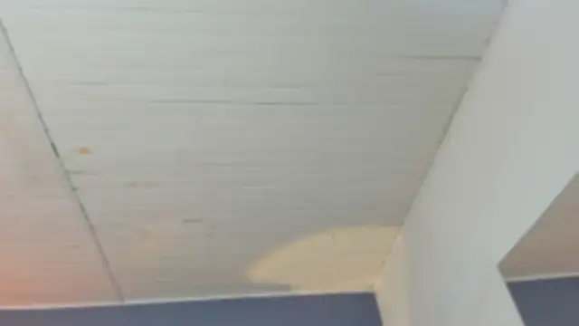 Snapshot of BellaBoobs_ chatting on October 3, 2025, 7:44 pm BellaBoobs online show from October 3, 2025, 7:44 pm