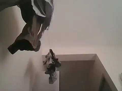 king godgm online show from November 28, 2025, 7:33 am