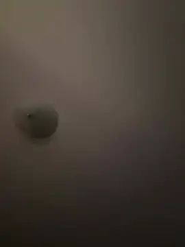 Troydaddy578 online show from April 1, 2026, 4:24 am