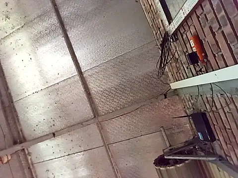 Snapshot of Fienjr chatting on March 29, 2026, 8:58 am Fienjr online show from March 29, 2026, 8:58 am