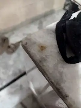 meenu bhabhi547 online show from October 9, 2025, 1:58 am