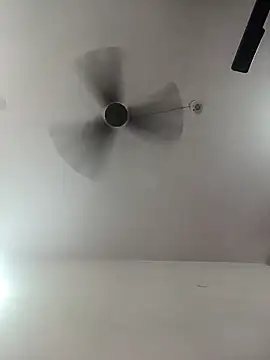 Appypie online show from October 1, 2025, 5:24 am