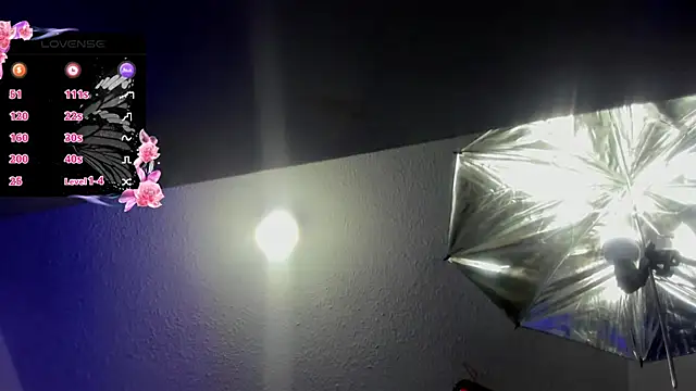 Hanna wish online show from November 3, 2025, 1:34 pm