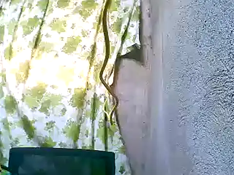 Sweeetgurll online show from November 5, 2025, 1:27 am