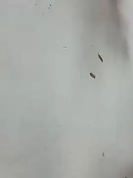 Baby-mmm online show from January 10, 2026, 5:20 am