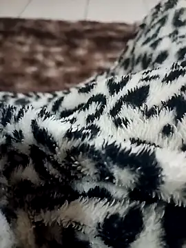 Gauderio40 online show from November 21, 2025, 4:11 am