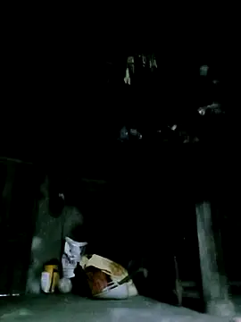 ngan-cute online show from December 16, 2025, 10:09 am