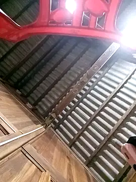 bing-bing88 online show from March 8, 2026, 11:58 am