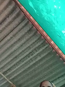 Hot-honi online show from November 12, 2025, 5:52 am