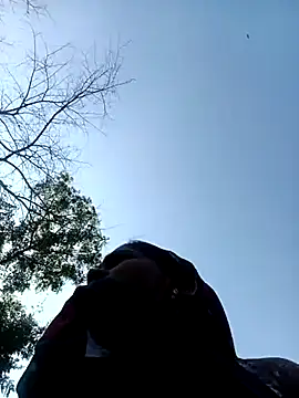 Hot-honi online show from December 18, 2025, 7:36 am