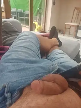 stunning stallion online show from September 9, 2025, 9:31 am