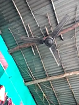 Pooja750 online show from December 21, 2025, 4:41 am