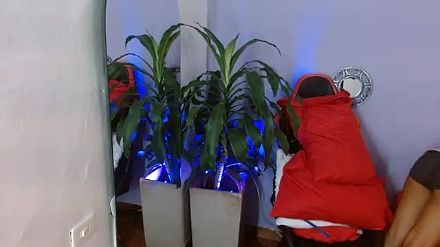 ivy scorpio online show from October 15, 2025, 5:51 am