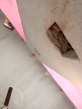 Payal950 online show from February 7, 2026, 7:45 am