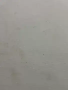 Snapshot of jully-jully chatting on September 24, 2025, 2:59 am jully-jully online show from September 24, 2025, 2:59 am