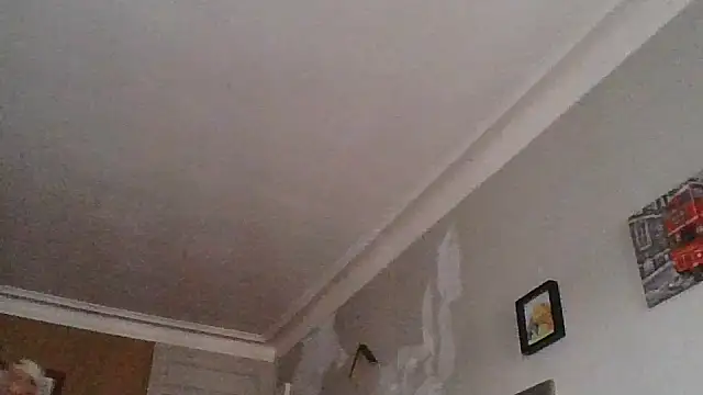 Titilouonlyf69 online show from July 23, 2026, 7:01 pm