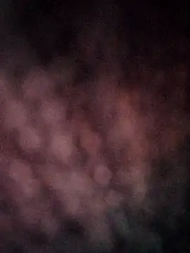 Snapshot of CUTE-003 chatting on November 8, 2025, 3:45 pm CUTE-003 online show from November 8, 2025, 3:45 pm