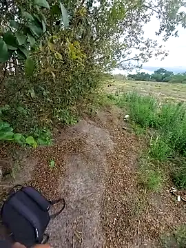 magraocam online show from November 6, 2025, 4:08 pm