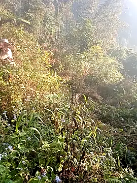 hera-00 online show from December 19, 2025, 1:12 am