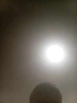 Bebicho14 online show from February 10, 2026, 4:22 pm