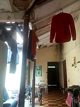 hairy mannn online show from February 15, 2026, 2:14 pm