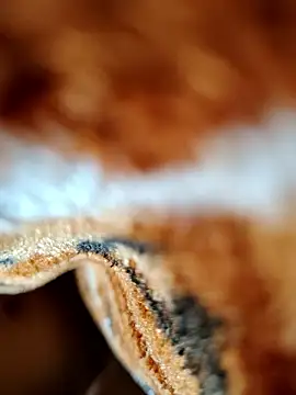 Hot lali 555 online show from January 7, 2026, 2:41 pm