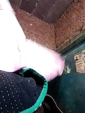 Rashili jaan online show from February 4, 2026, 4:35 pm