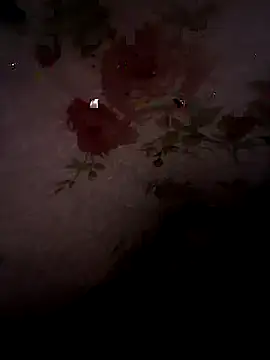 SummerArthur online show from September 30, 2025, 9:09 pm