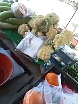 playboy31top online show from February 8, 2026, 9:23 am