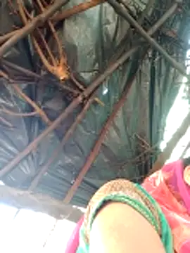 H seema online show from April 12, 2026, 2:27 am