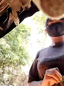 Janvi Jaitly online show from November 17, 2025, 9:15 am