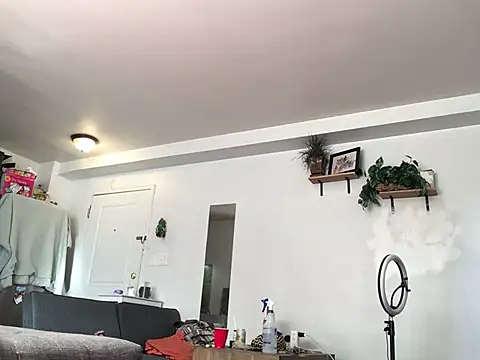 littyleesh1 online show from January 13, 2026, 4:01 pm