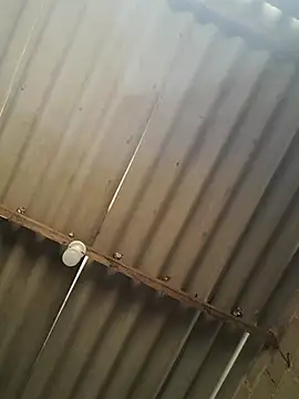 kiimferv online show from November 10, 2025, 2:38 pm