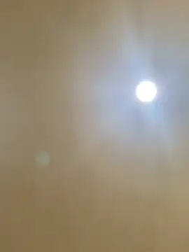 aalvaro98 online show from February 4, 2026, 5:24 am