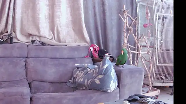 Alexis21821 online show from November 13, 2025, 7:18 am