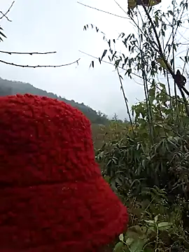 bonnie-00 online show from January 7, 2026, 2:47 am