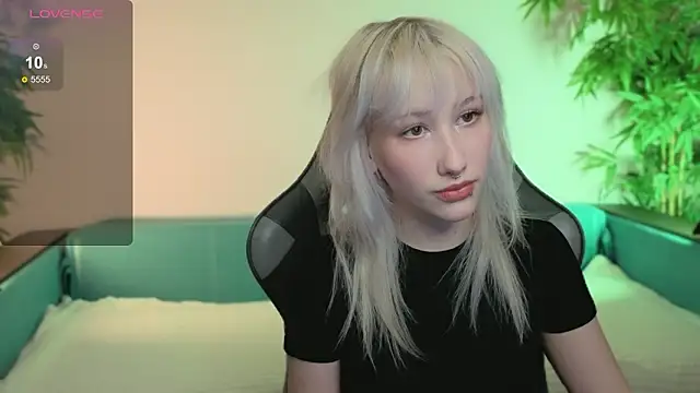 evlica online show from February 17, 2026, 2:24 pm