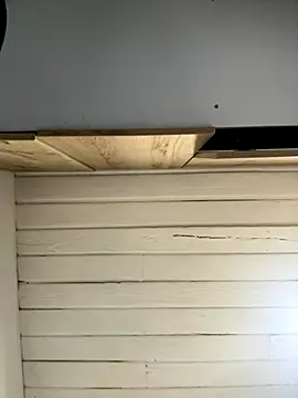 SienaWild online show from December 1, 2025, 3:11 am