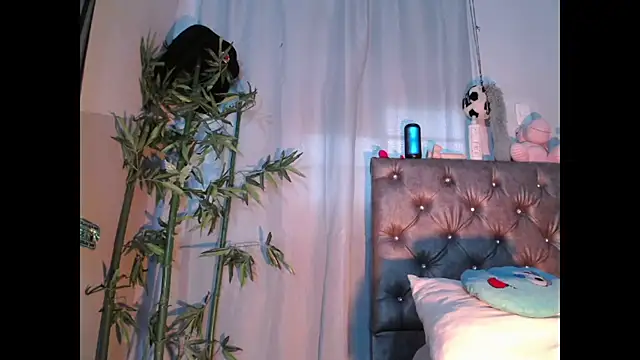 Jamadoll66 online show from March 24, 2026, 5:07 pm