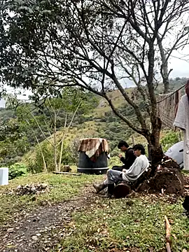 sky-wolves online show from September 20, 2025, 3:35 pm