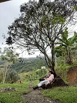 sky-wolves online show from October 18, 2025, 4:19 pm