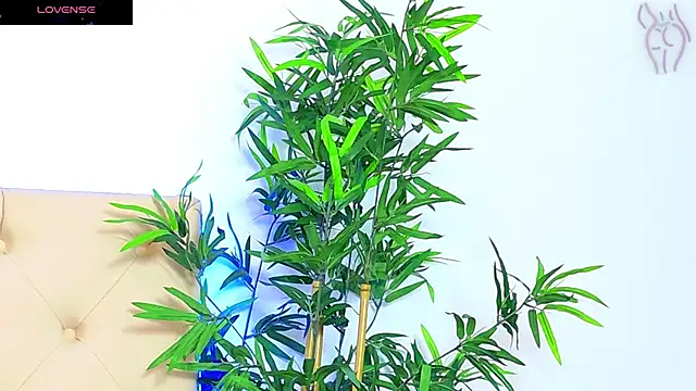 Snapshot of CoraVex chatting on September 16, 2025, 6:03 am CoraVex online show from September 16, 2025, 6:03 am